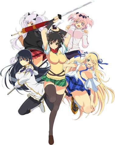 Senran Kagura: Ninja Flash! cover image