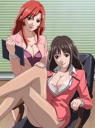 Secretarial Section Drop Cover