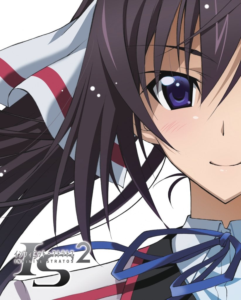 Infinite Stratos 2: Long Vacation Edition cover image