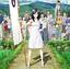 Summer Wars