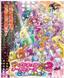 Precure All Stars New Stage 2: Kokoro no Tomodachi