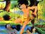 Jungle Book: Shōnen Mowgli