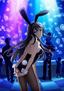 Rascal Does Not Dream of Bunny Girl Senpai