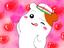 Oruchuban Ebichu